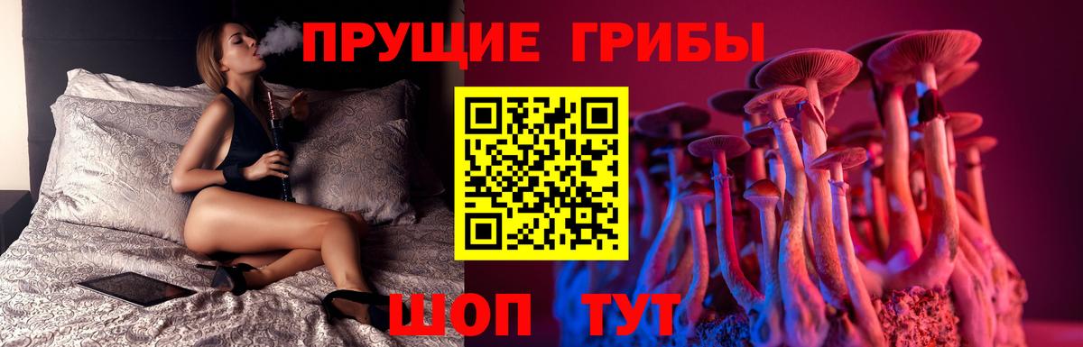 Псилоцибиновые грибы прущие грибы  магазин    Псилоцибиновые грибы GOLDEN TEACHER  Чистополь  Вход с VPN 